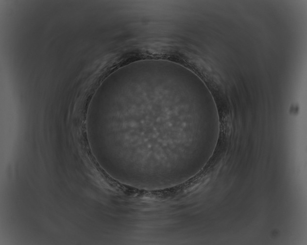X0000096701009200802121158