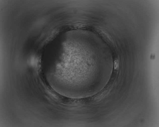 X0000096701011200802121158