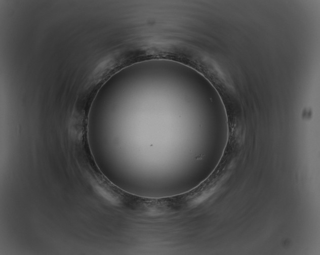 X0000096701012200802121158