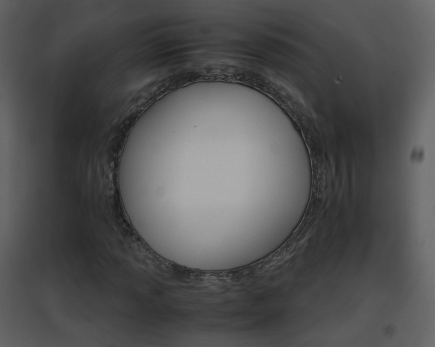X0000096701013200802121158