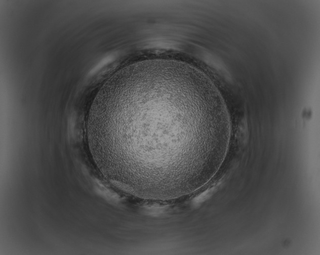 X0000096701014200802121158