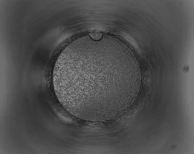 X0000096701015200802121158