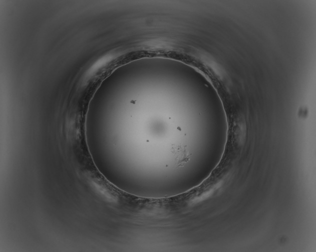 X0000096701016200802121158