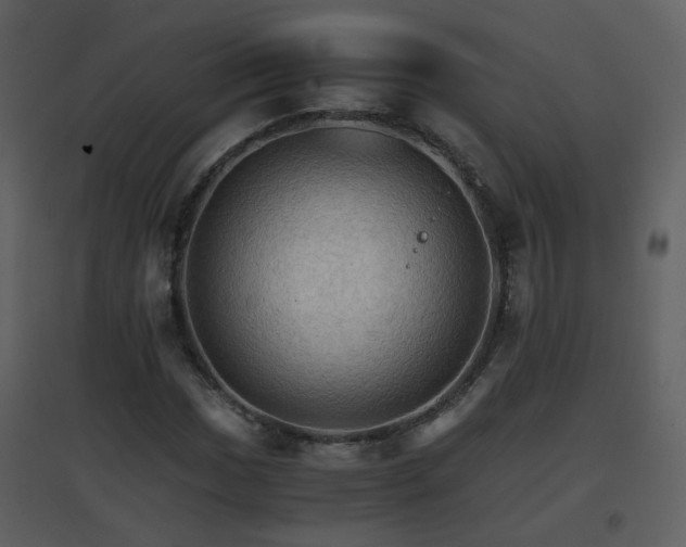 X0000096701017200802121158