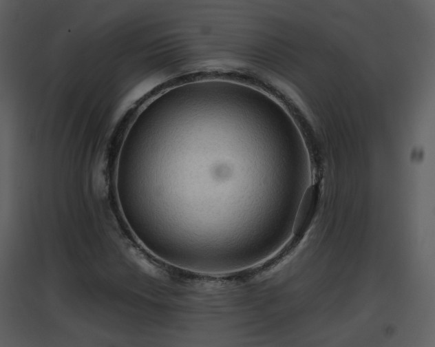 X0000096701018200802121158
