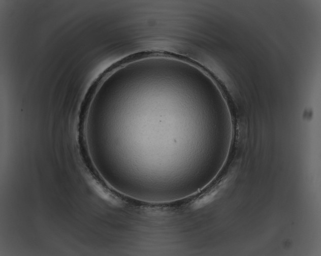 X0000096701020200802121158