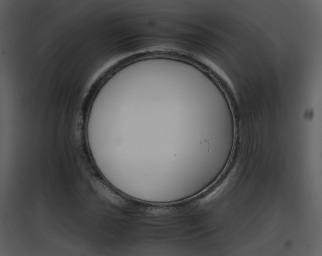 X0000096701021200802121158