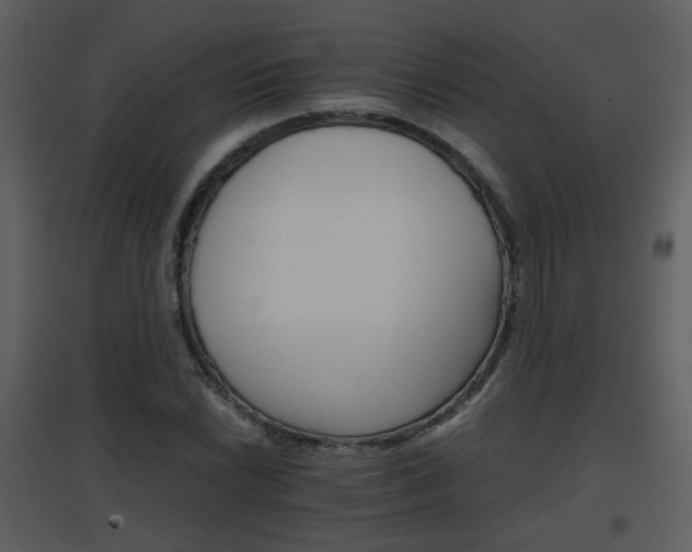 X0000096701022200802121158