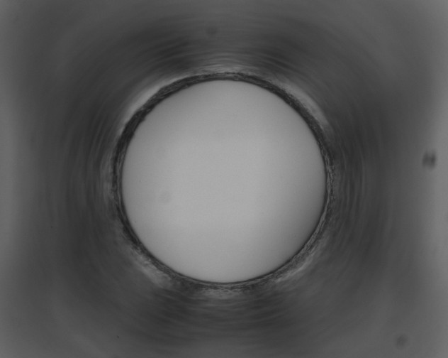 X0000096701023200802121158