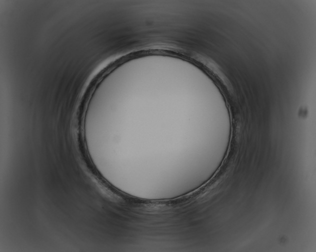 X0000096701024200802121158
