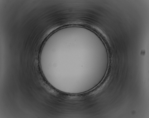 X0000096701025200802121158