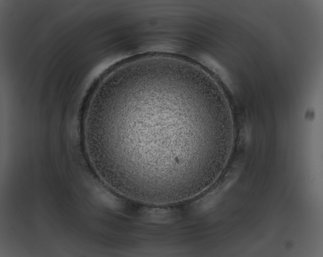X0000096701027200802121158