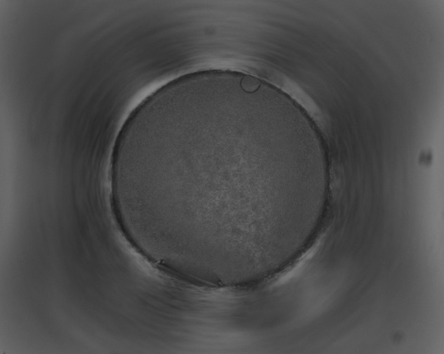 X0000096701028200802121158