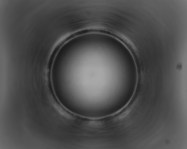 X0000096701029200802121158
