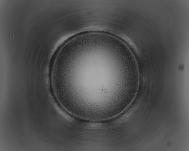 X0000096701030200802121158