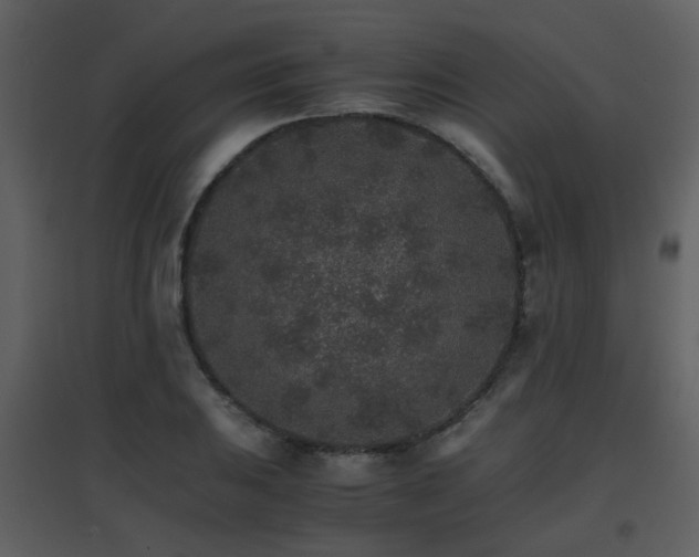X0000096701031200802121158