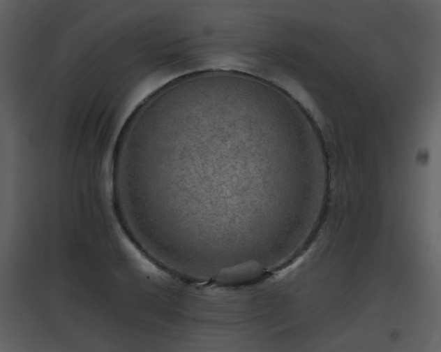 X0000096701032200802121158