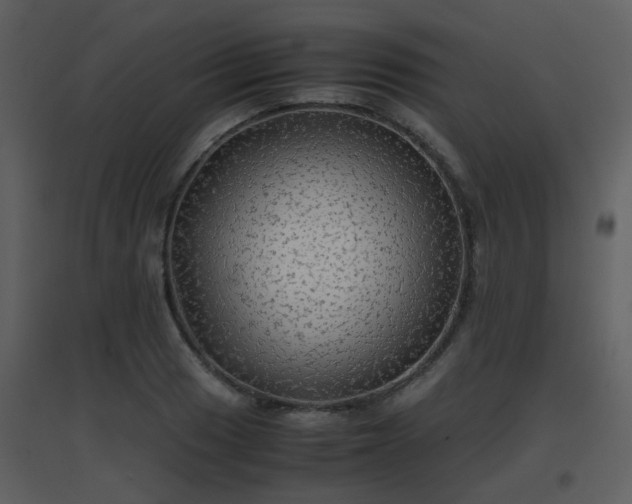 X0000096701033200802121158