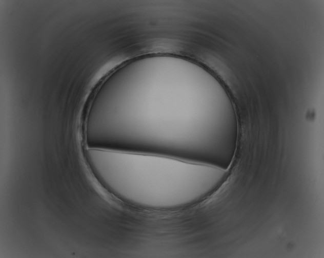 X0000096701034200802121158