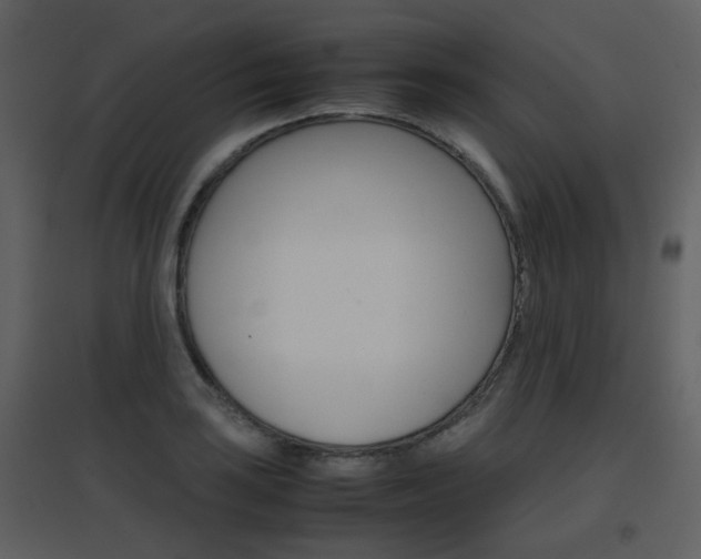X0000096701035200802121158