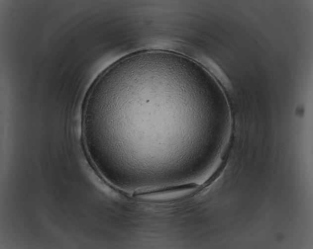 X0000096701036200802121158