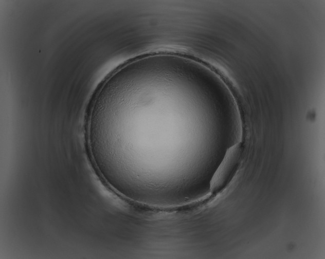 X0000096701038200802121158