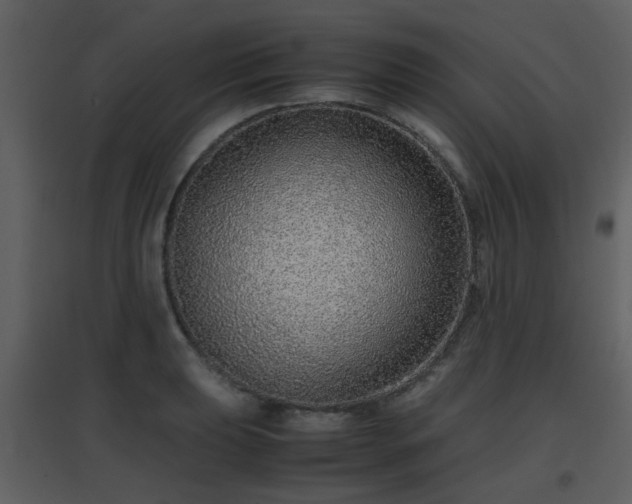X0000096701039200802121158