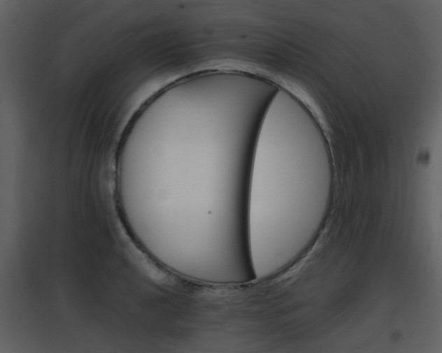 X0000096701040200802121158