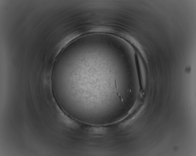 X0000096701041200802121158