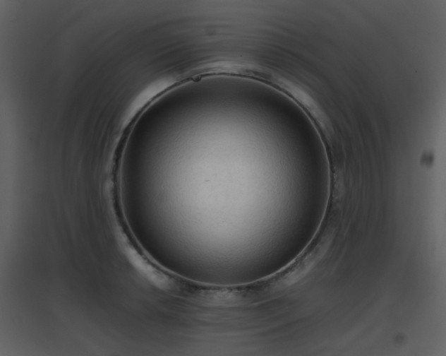 X0000096701042200802121158