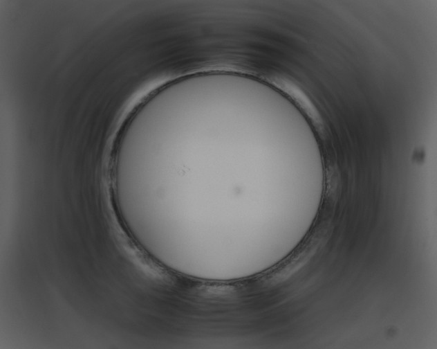 X0000096701043200802121158