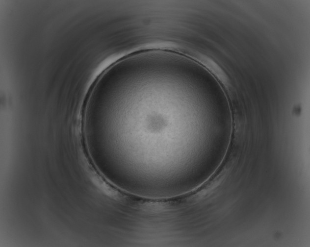 X0000096701044200802121158