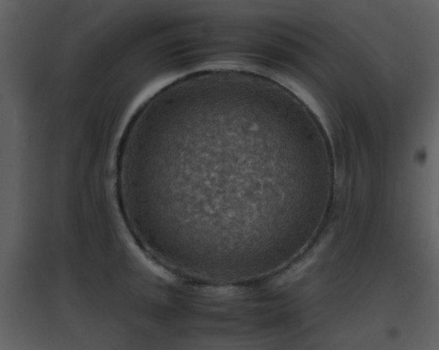 X0000096701045200802121158