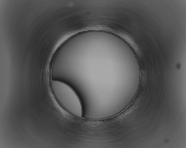 X0000096701046200802121158