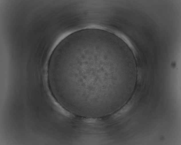 X0000096701048200802121158