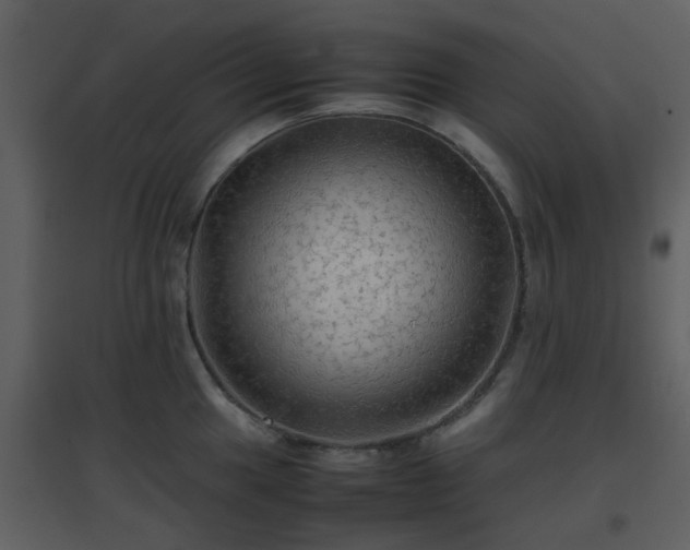 X0000096701049200802121158