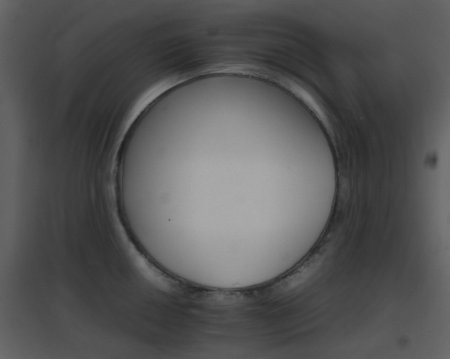 X0000096701050200802121158