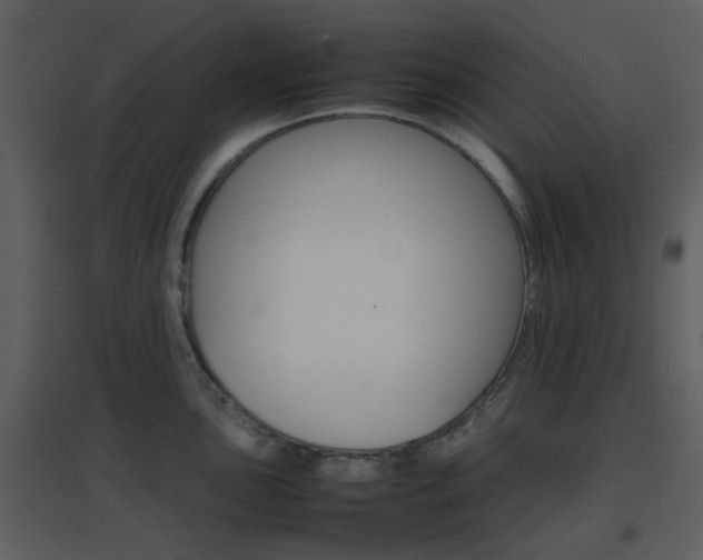 X0000096701051200802121158