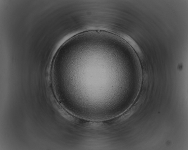 X0000096701052200802121158