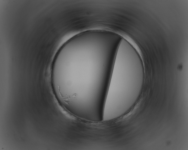 X0000096701053200802121158