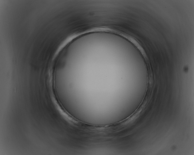 X0000096701054200802121158