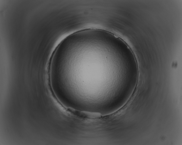 X0000096701056200802121158
