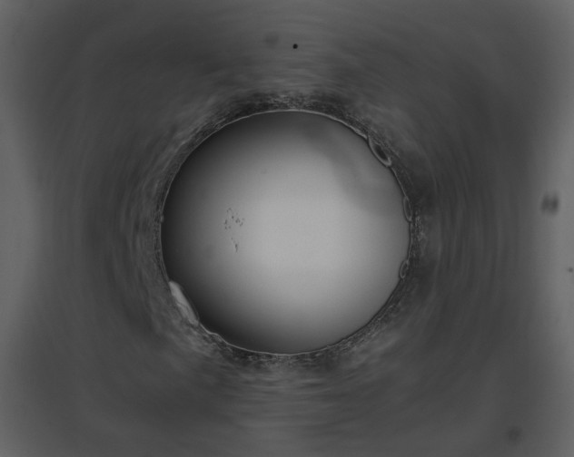 X0000096701057200802121158