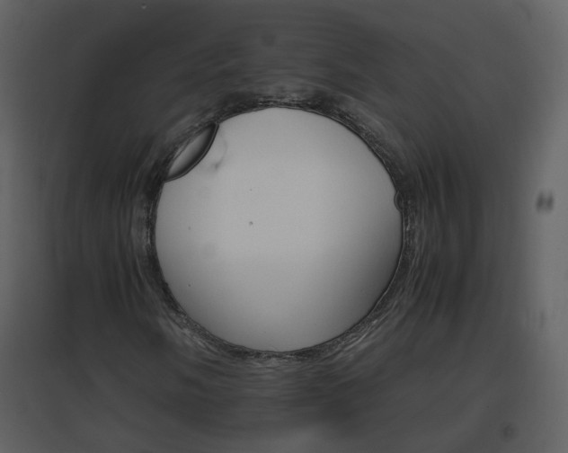 X0000096701058200802121158