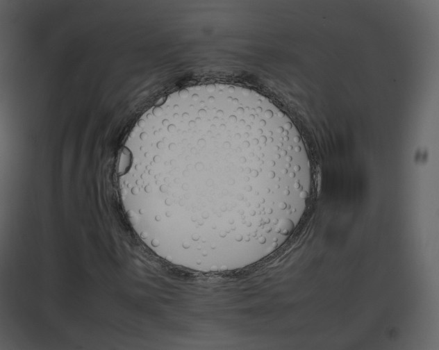 X0000096701059200802121158