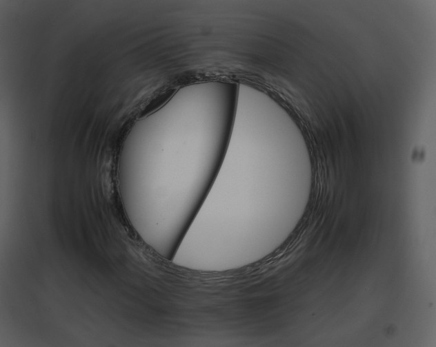 X0000096701060200802121158
