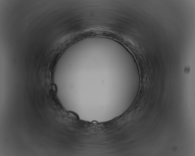 X0000096701062200802121158