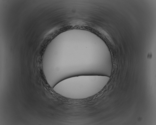 X0000096701063200802121158