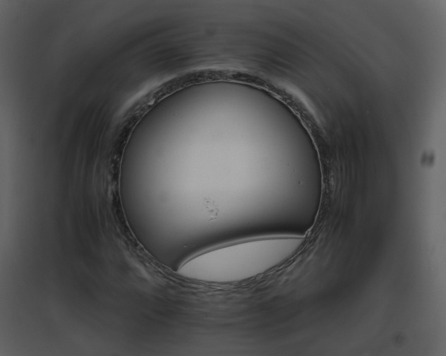 X0000096701064200802121158