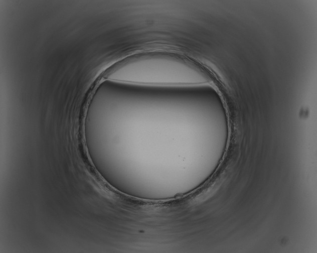 X0000096701065200802121158